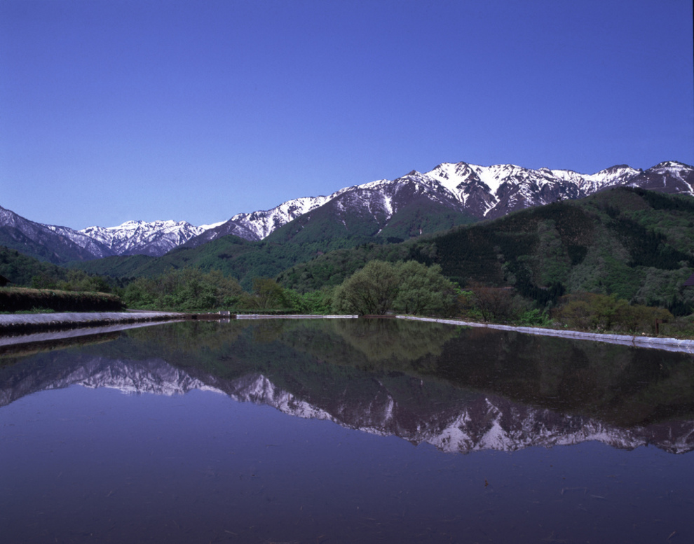 白山開山1300年記念　岐阜の山を満喫する