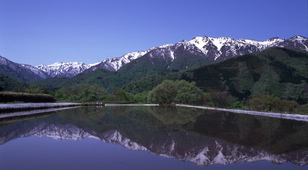 白山開山1300年記念　岐阜の山を満喫する