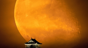 ギャラリー展示【戦国のメインステージ岐阜を歩く】開催中