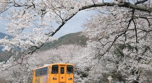 「岐阜の春旅　岐阜のローカル線特集」